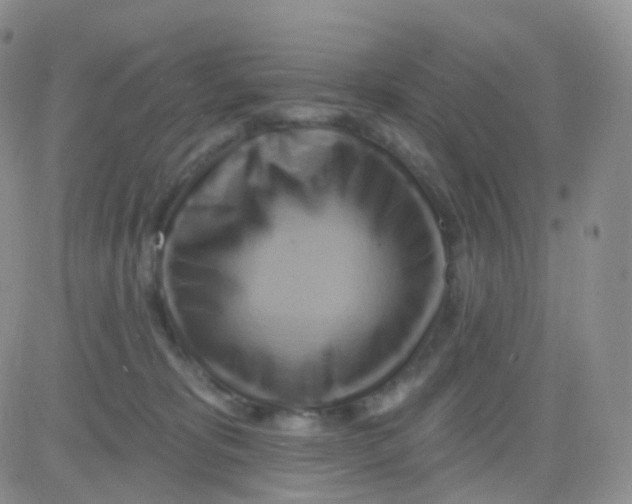 X0000083040325200702231936