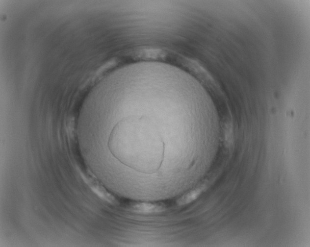 X0000083040326200702231936