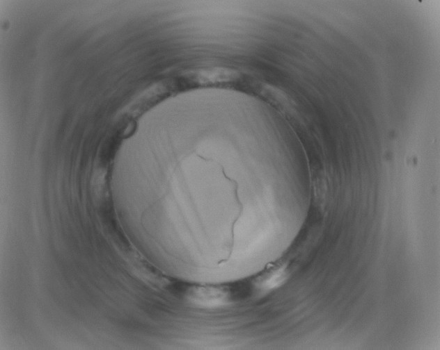 X0000083040327200702231936