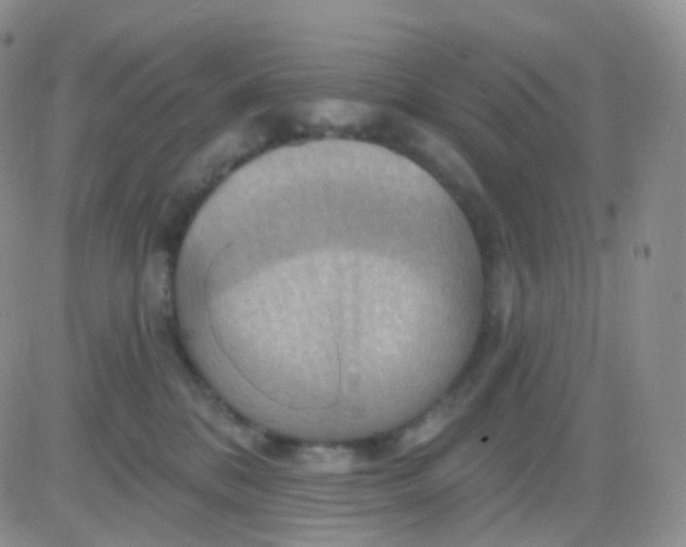 X0000083040328200702231936