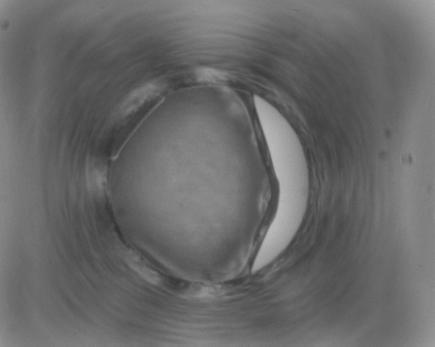 X0000083040329200702231936