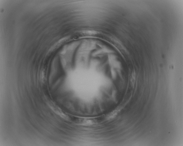 X0000083040330200702231936