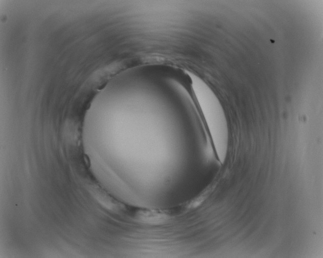 X0000083040331200702231936