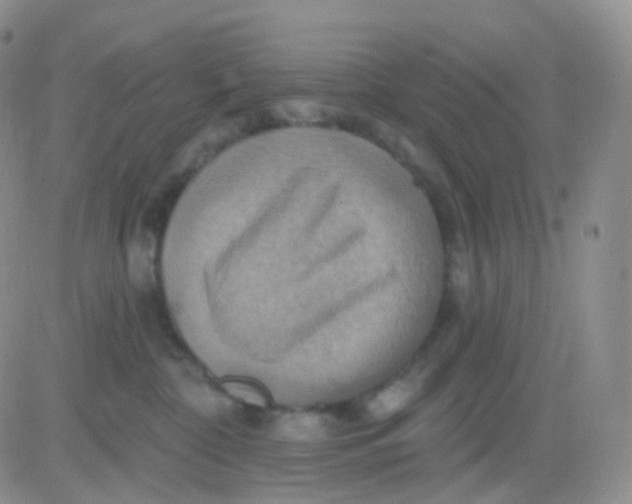 X0000083040332200702231936