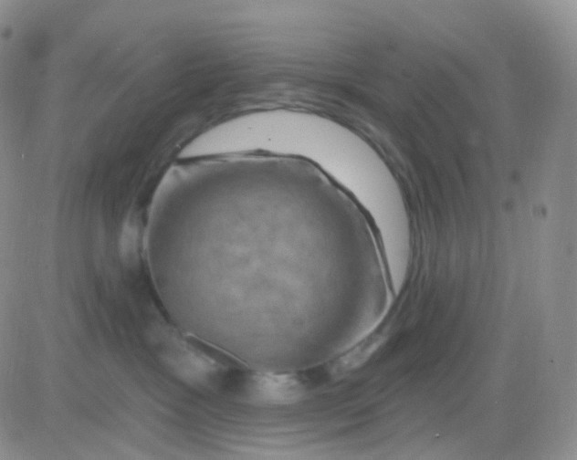 X0000083040333200702231936