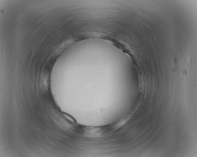 X0000083040334200702231936