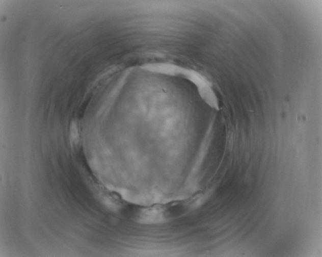 X0000083040335200702231936