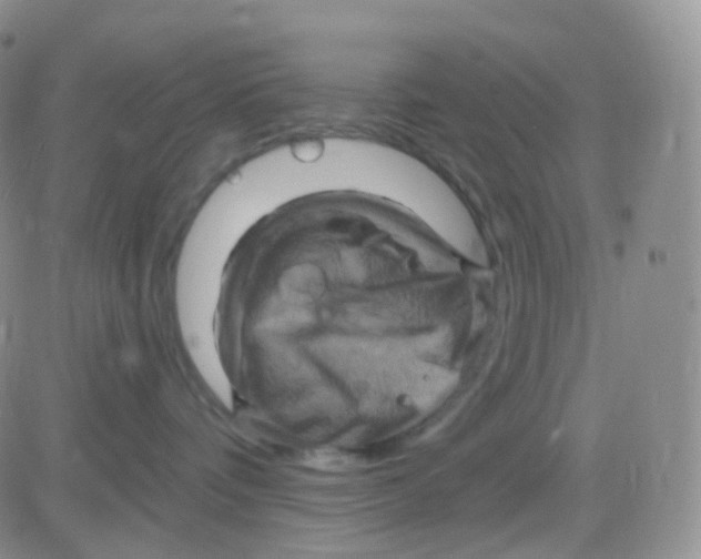 X0000083040336200702231936