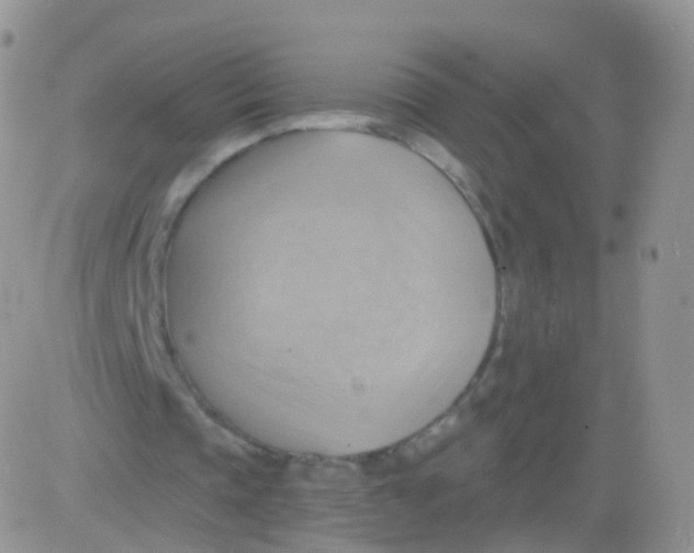 X0000083040337200702231935