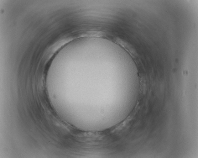 X0000083040338200702231935