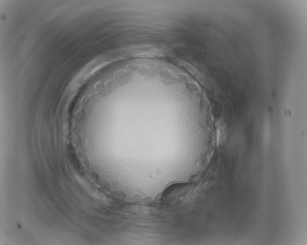 X0000083040339200702231935