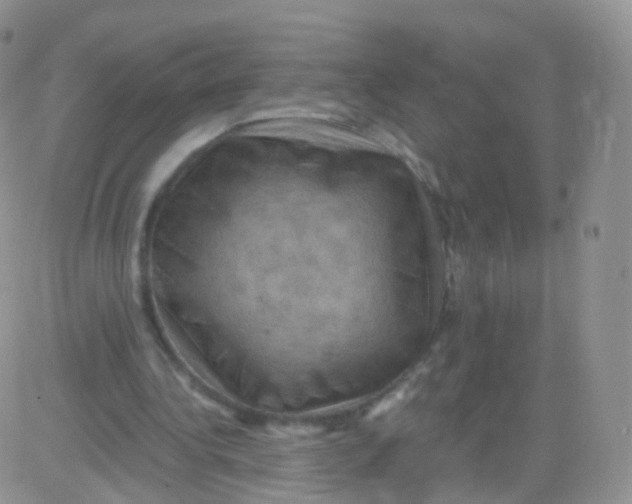 X0000083040340200702231935