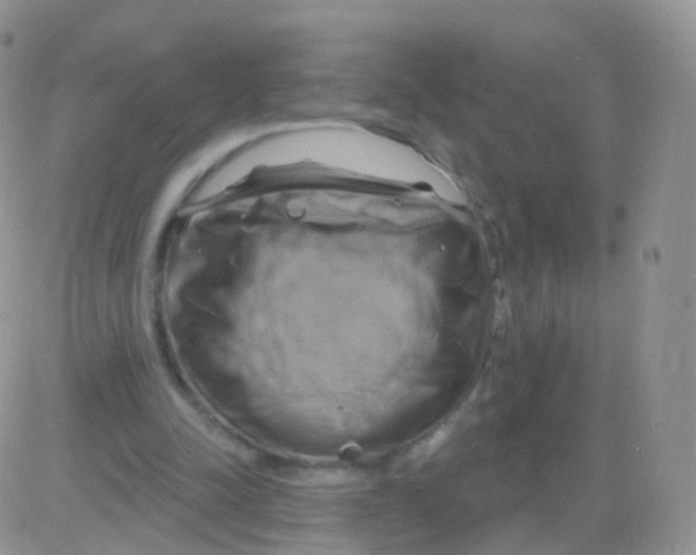 X0000083040342200702231935