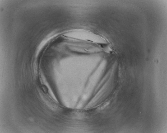 X0000083040343200702231935