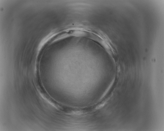 X0000083040344200702231935