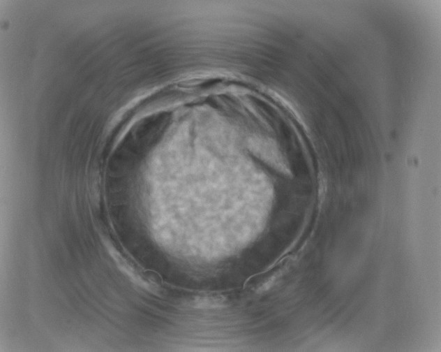 X0000083040345200702231935