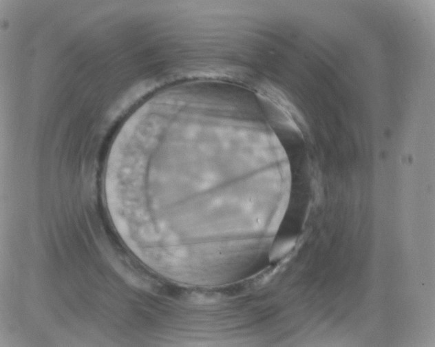 X0000083040346200702231935