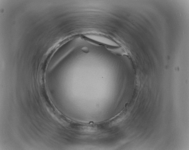 X0000083040347200702231935