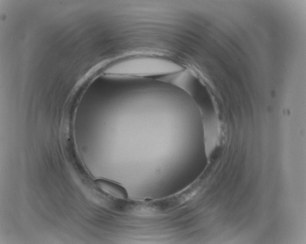 X0000083040348200702231935