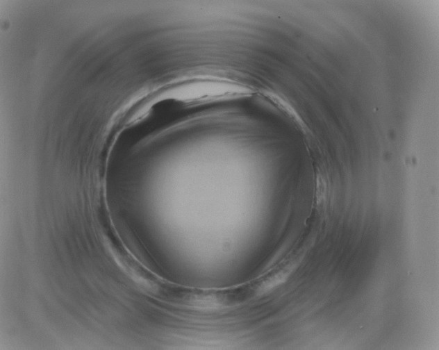 X0000083040349200702231935