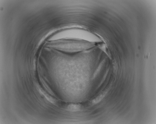 X0000083040350200702231935