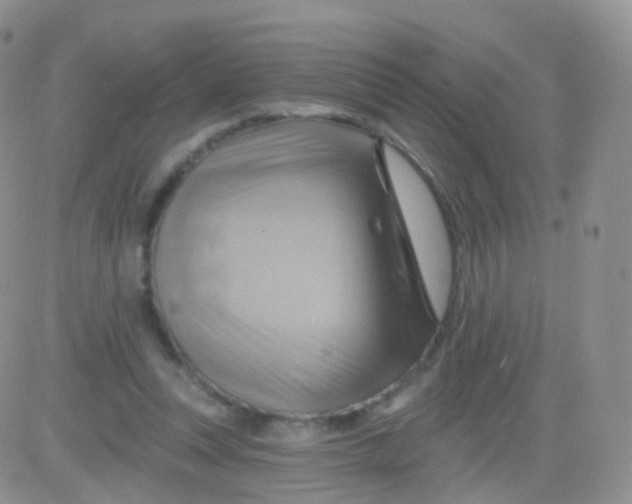 X0000083040351200702231935