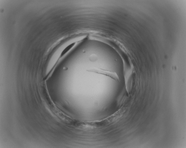 X0000083040352200702231935