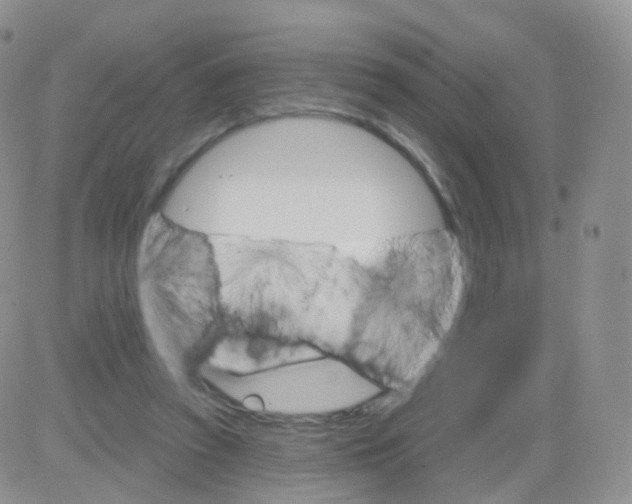 X0000083040353200702231935