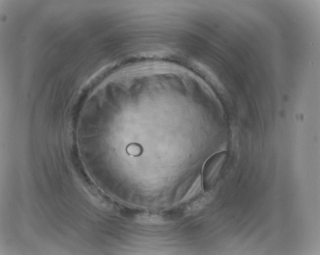 X0000083040354200702231935