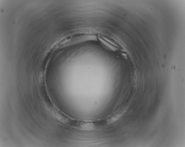 X0000083040355200702231935