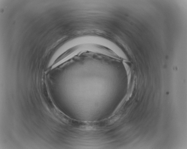 X0000083040356200702231935