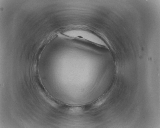 X0000083040357200702231935