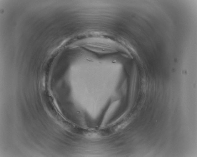 X0000083040358200702231935