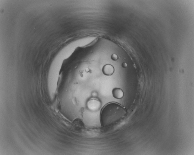 X0000083040359200702231935