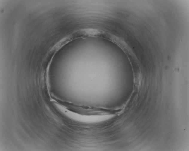 X0000083040360200702231935