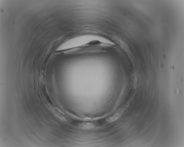 X0000083040361200702231935