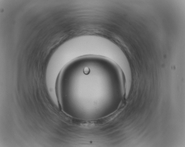 X0000083040362200702231935