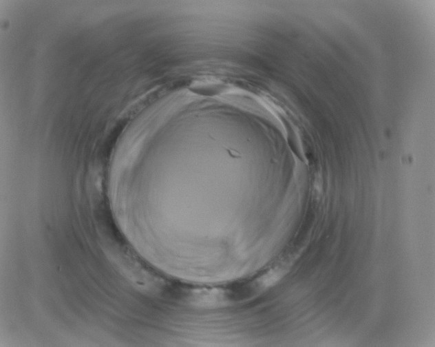 X0000083040363200702231936