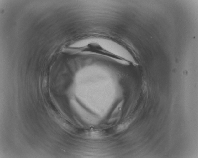 X0000083040365200702231936