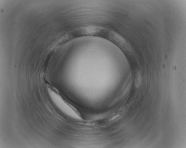 X0000083040366200702231936