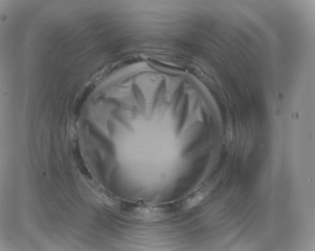 X0000083040367200702231936