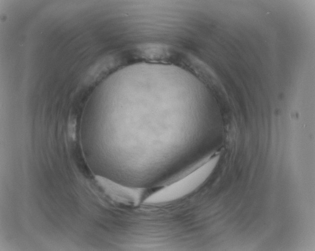 X0000083040368200702231936