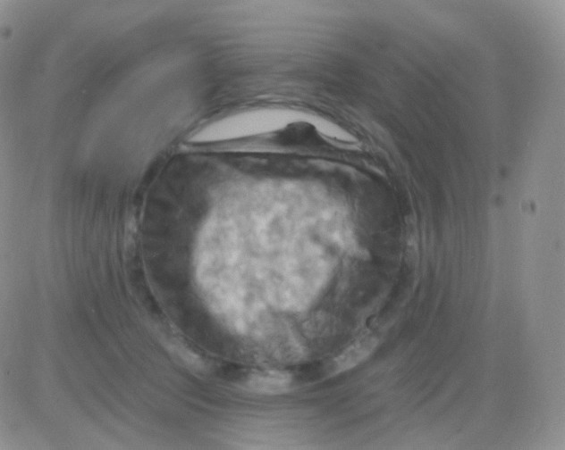 X0000083040369200702231936