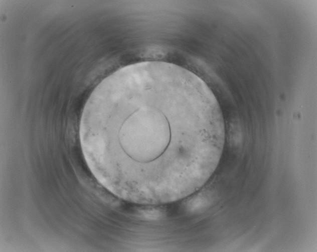 X0000083040370200702231936