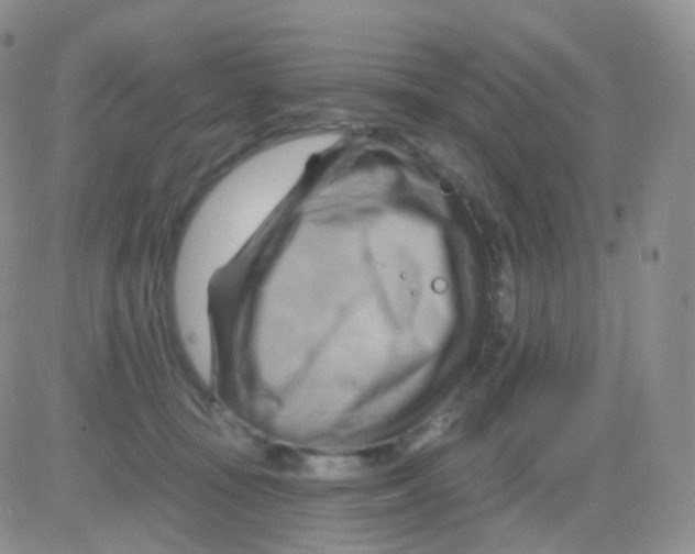 X0000083040371200702231936