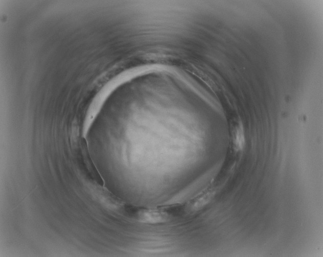 X0000083040372200702231936