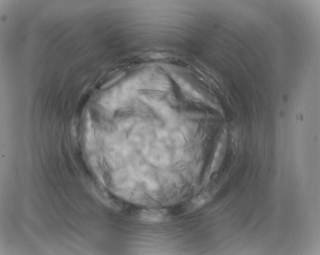 X0000083040373200702231936