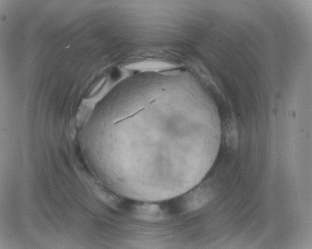 X0000083040374200702231936