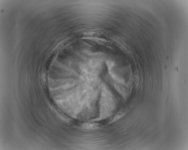 X0000083040375200702231936