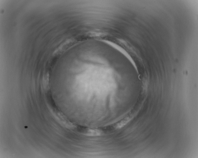 X0000083040376200702231936